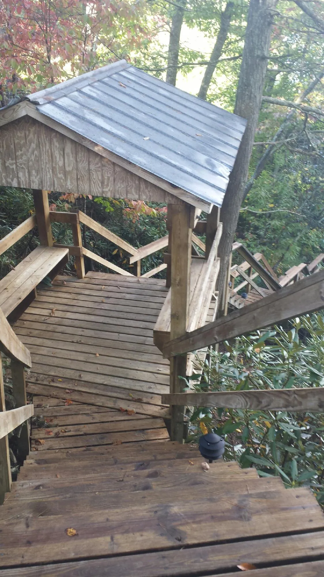 Metal roofed shelter over wooden steps on a wooded walkway — Skylight Repair & Installation work by our crew in Rosemary Beach