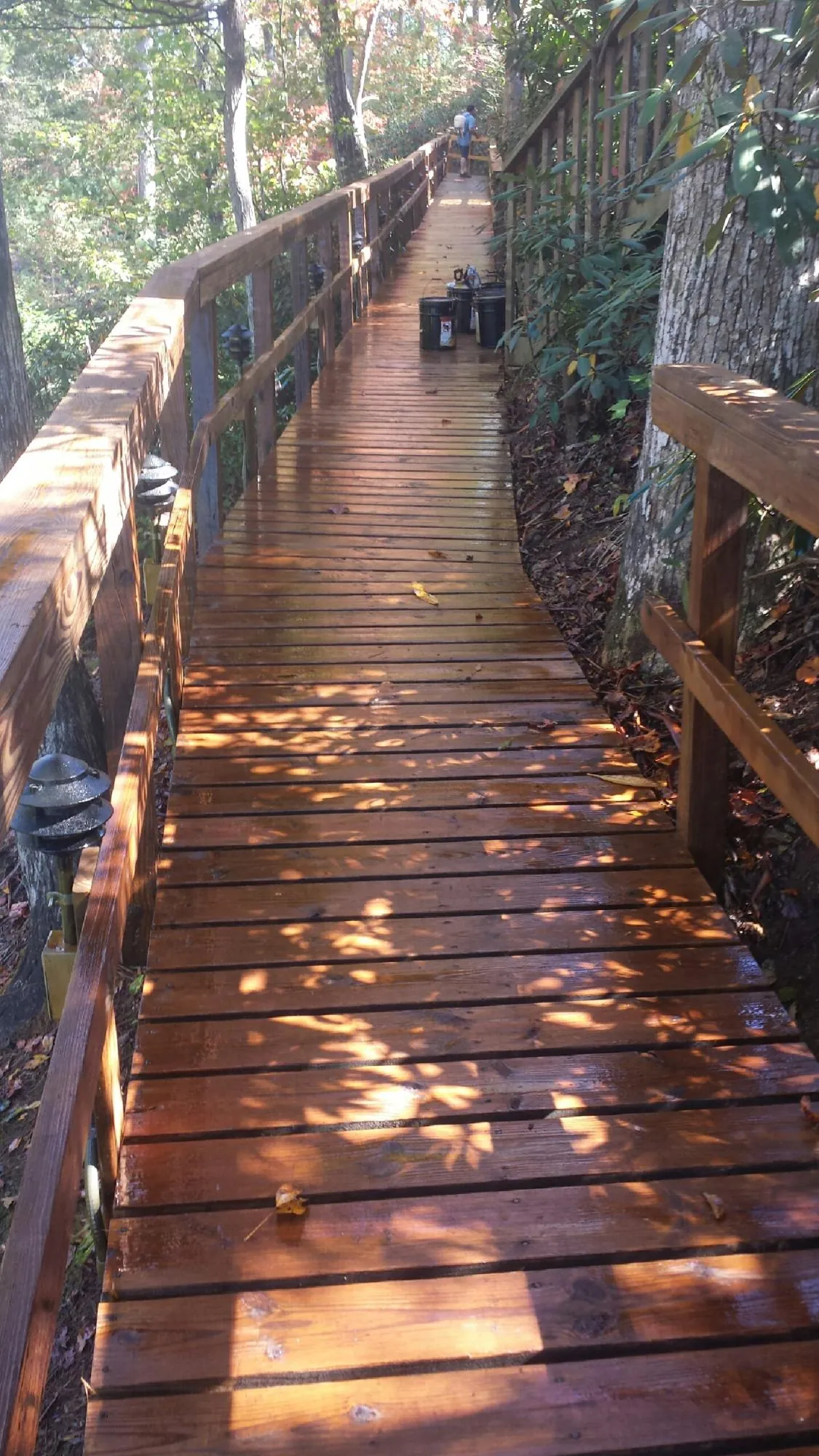 Freshly stained wood walkway winding through the woods in Rosemary Beach